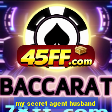 my secret agent husband